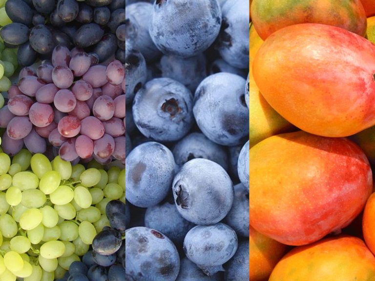 Las frutas y hortalizas siguieron creciendo en Estados Unidos Fresh Fruit Perú Las frutas y hortalizas siguieron creciendo en Estados Unidos Fresh Fruit Perú