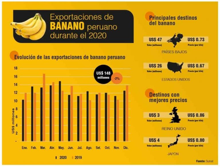 Las Exportaciones De Banano Siguen Creciendo – Freshfruit