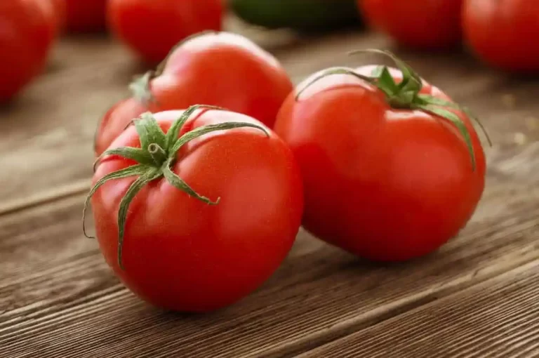 Exportación de tomate