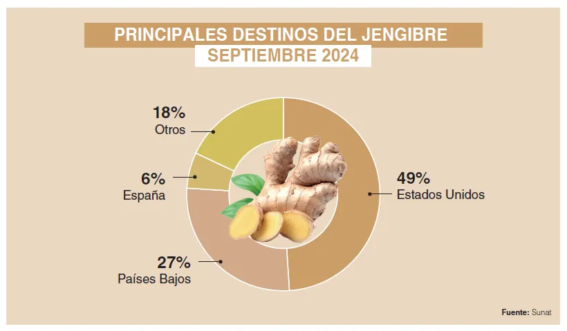 Principales destinos de exportación de jengibre en septiembre de 2024